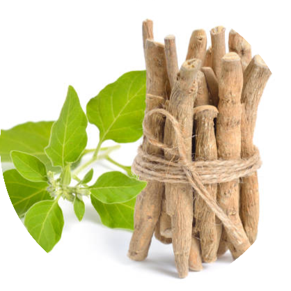 istockphoto-1286731715-612x612-fotor-2023073014057