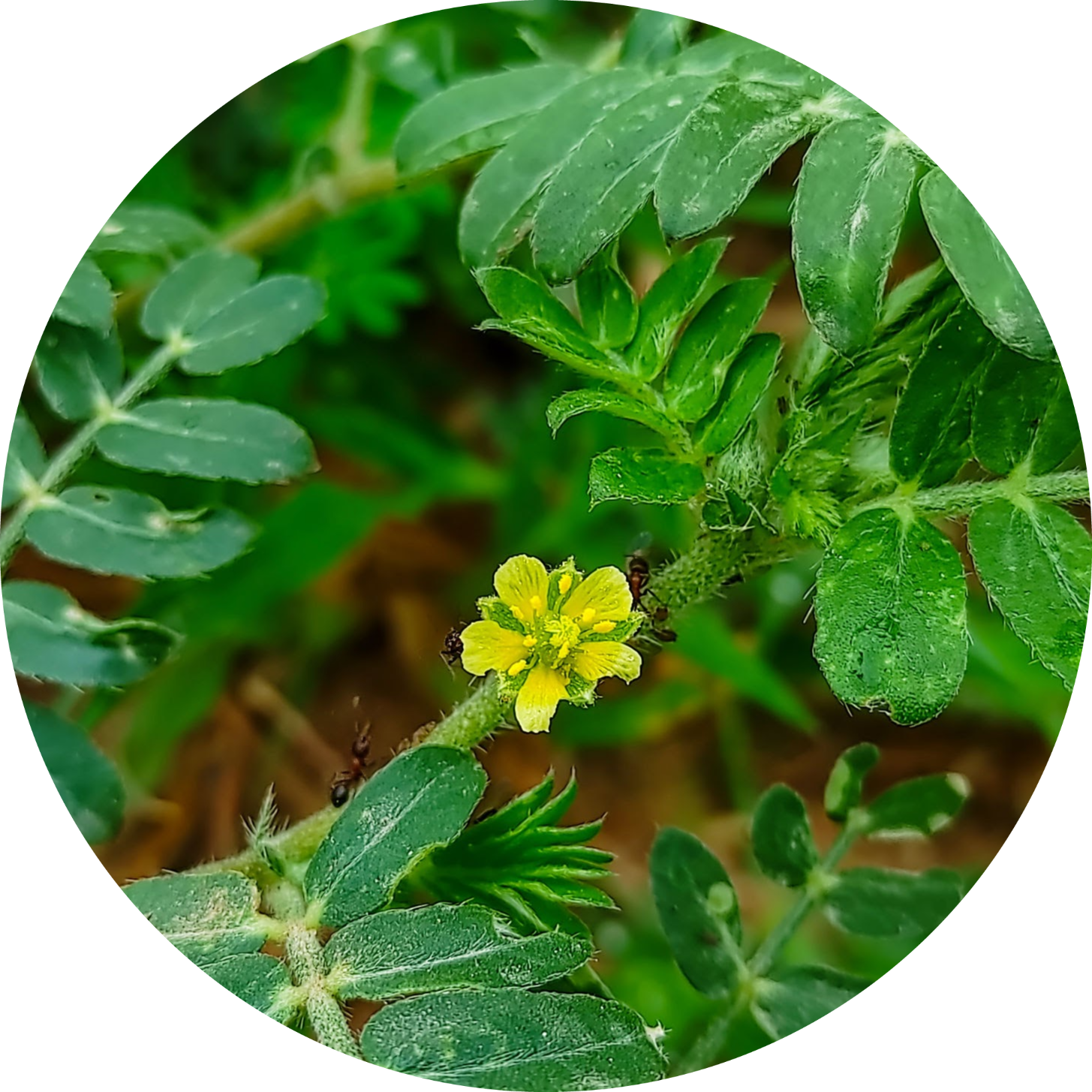 licensed-image12-fotor-2023073014217